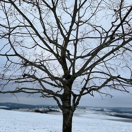Вилла Eifel-Bau-Traum Schlich Wershofen Экстерьер фото