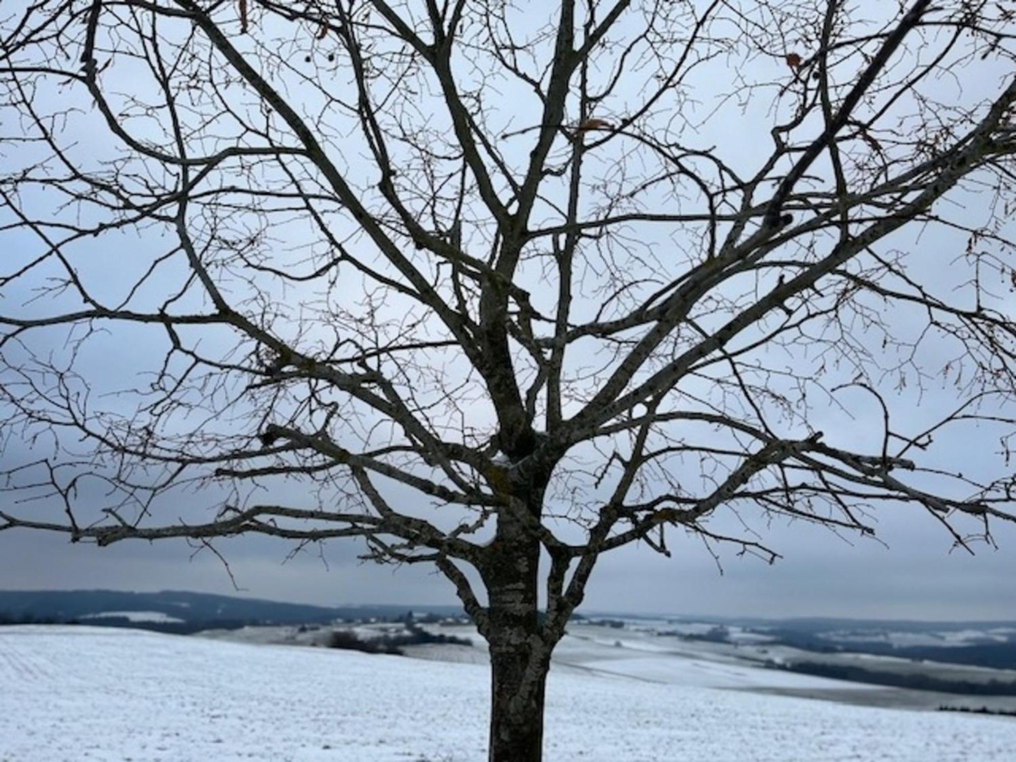 Вилла Eifel-Bau-Traum Schlich Wershofen Экстерьер фото